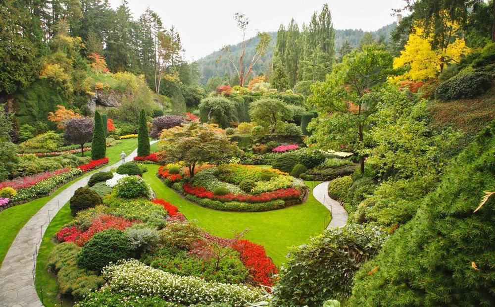 Rosewood Inn Victoria Bagian luar foto